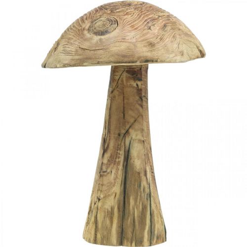 Floristik24 Houba, dřevo paulovnie, podzim, dřevěná dekorace Ø18–20cm V28cm