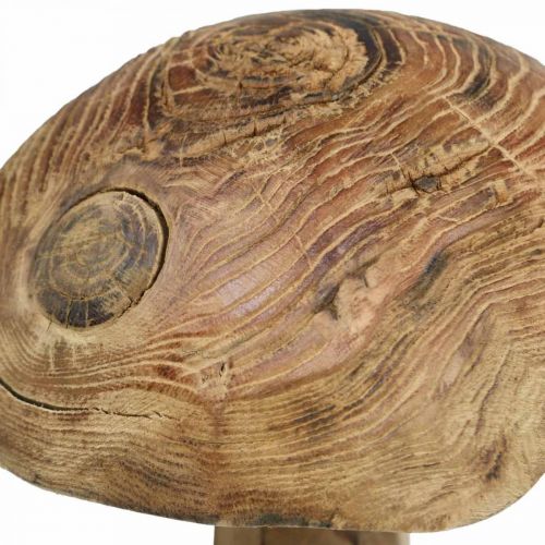 Floristik24 Houba, dřevo paulovnie, podzim, dřevěná dekorace Ø18–20cm V28cm