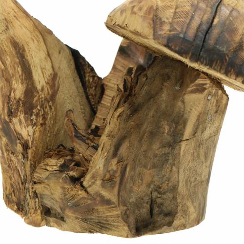Floristik24 Houby švestkové dřevo V27cm