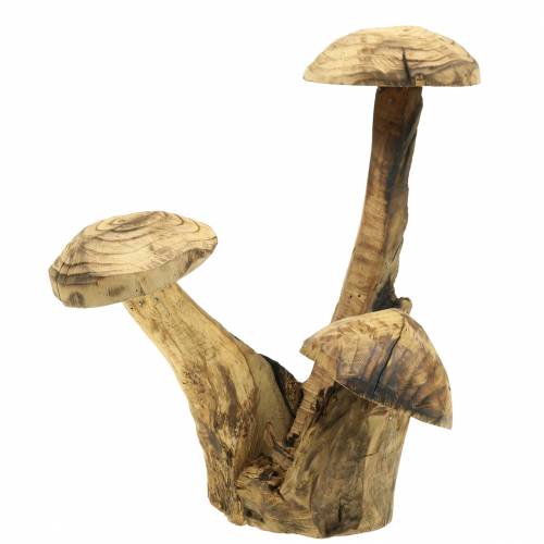Floristik24 Houby švestkové dřevo V27cm