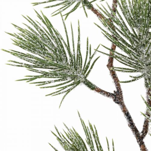 položky Vánoční větve Borovicová větvička Snowed 54cm 3ks ve svazku