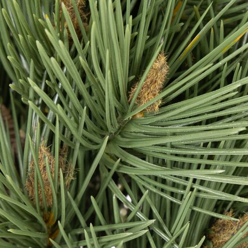Dekorativní svazek umělých borovicových větviček pro aranžmá 39cm 6 ks | Floristik24.cz