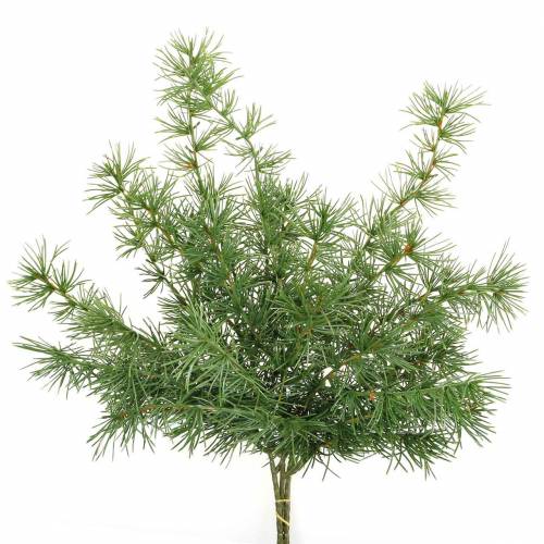 Floristik24 Umělá borovicová větev zelená 53cm 3 ks