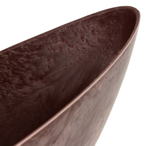 Floristik24 Miska na rostliny Bordeaux 39cm x 12cm H13cm 1ks