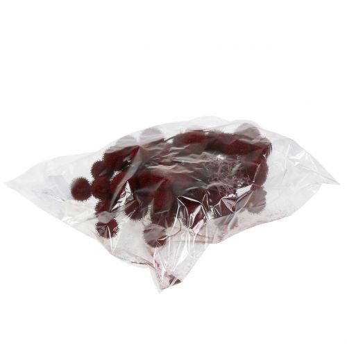 Floristik24 Plody platanů sušené tmavě červené 250g