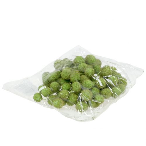 Floristik24 Plody platanu zelené 200g