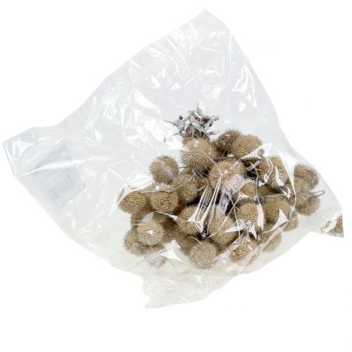 Floristik24 Plody hladké bílé 250g