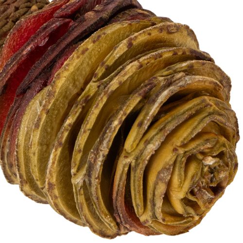 položky Platyspermum krém 1-3, 50 hlaviček