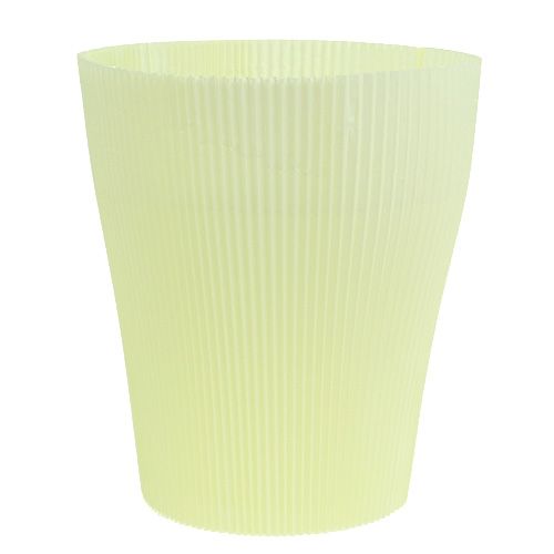 Floristik24 Plisované manžety světle žluté 18,5cm 100ks.