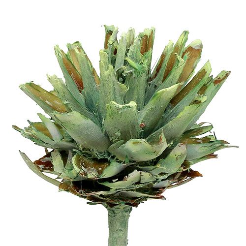 položky Plumosum 1 Green Frosted 25 ks