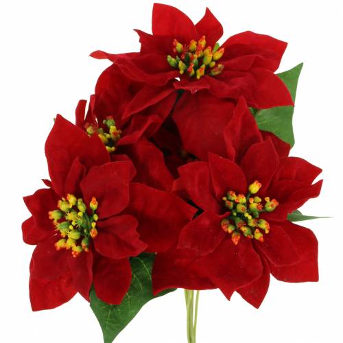Floristik24 Poinsettia kytice červený samet 35cm