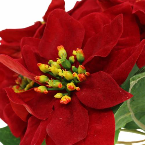 položky Poinsettia kytice červený samet 35cm