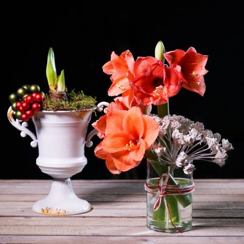 Floristik24 Šálek starožitný bílý Ø14cm V21cm