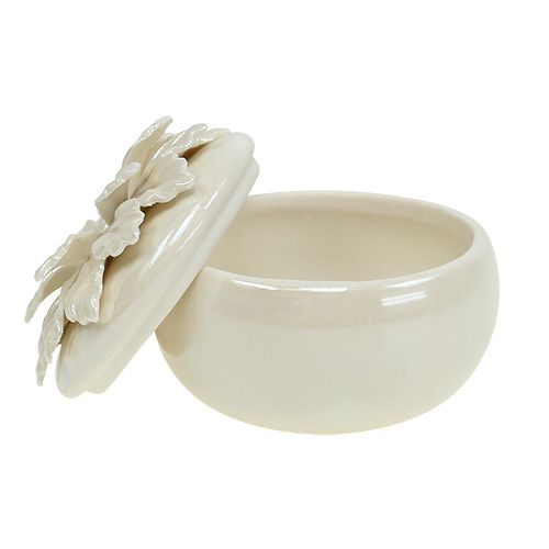 Floristik24 Porcelánová dóza krémová Ø7,5cm V6cm