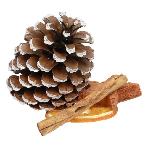 Floristik24 Potpourri vánoční plátky pomeranče šišky skořicové dřevo 150g