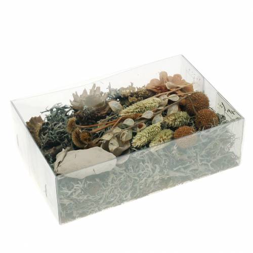 Floristik24 Herbstdeko Mix jako ruční sada Sušené bělené 150g