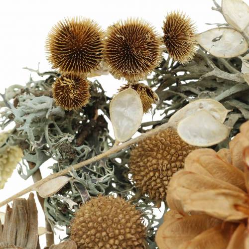 Floristik24 Herbstdeko Mix jako ruční sada Sušené bělené 150g