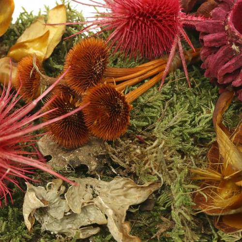 položky Suchá floristická směs se šiškami a mechovou červenou 150g podzimní dekorací