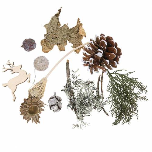 Sada ručních prací pro suché květinářství Adventní šišky a mechová bílá praná 150g