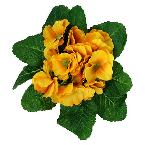 Floristik24 Prvosenka 15cm žlutá