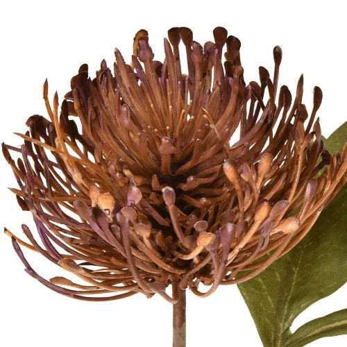 položky Umělý jehelníček Protea Leucospermum fialový 30cm 6 ks