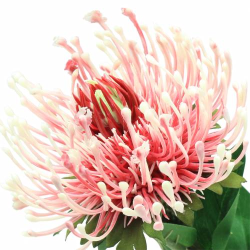 položky Protea umělá růžová 73 cm