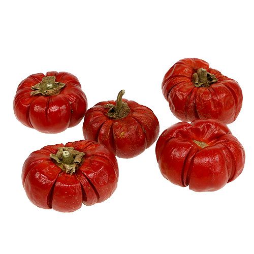 Floristik24 Pumkin Minis Red 250g