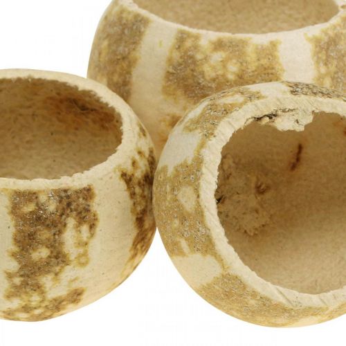položky Dýňová dekorace Bell Cup Pumpkin Cup bělený 50 ks