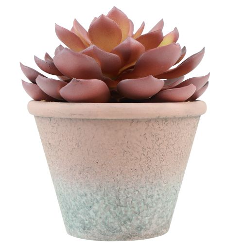 položky Sukulentní rostlina v květináči Echeveria umělá červená vintage Ø15cm H16cm