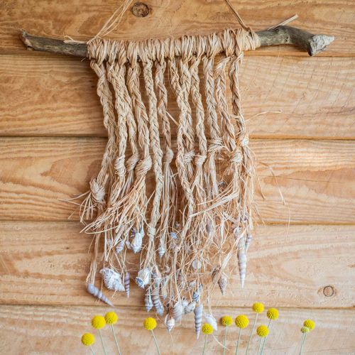 Floristik24 Mušle mix nature 3cm – 5cm 200g