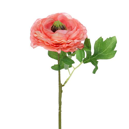 Floristik24 Ranunculus růžovo-růžový 27cm 8ks