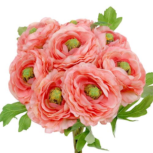 Floristik24 Ranunculus růžovo-růžový 27cm 8ks