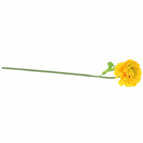 Floristik24 Pryskyřník žlutý V45 cm