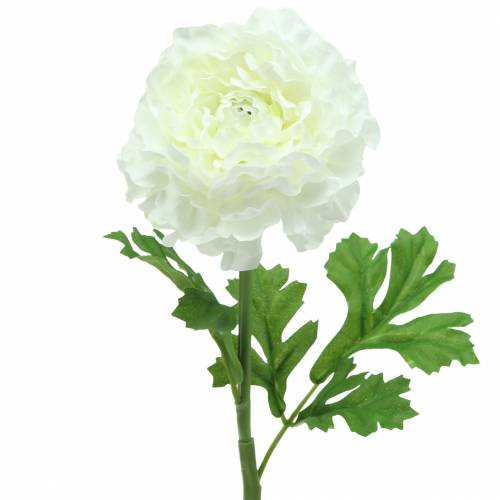 Floristik24 Ranunculus bílý H45cm