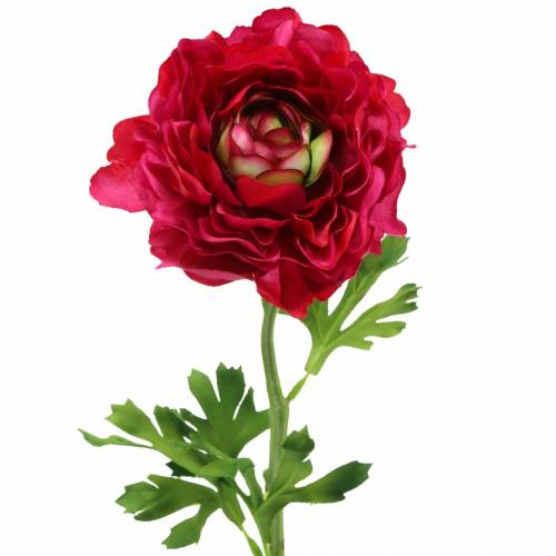 Floristik24 Ranunculus tmavě růžový umělý 51cm