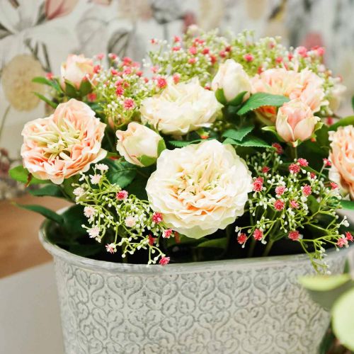 položky Ranunculus broskev, výška 45 cm