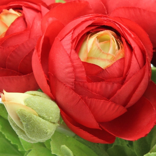 Floristik24 Kytice ranunculus červená 30cm