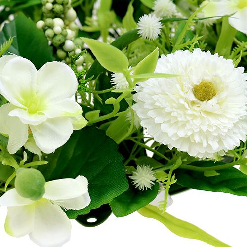 Floristik24 Ranunculus věnec s Bellis bílý Ø30cm