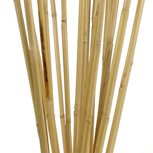 Floristik24 Ratanové stonky 100cm přírodní 20 ks