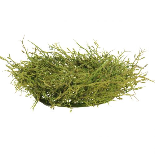 Floristik24 Jarní věnec s mechově zeleným Ø30cm