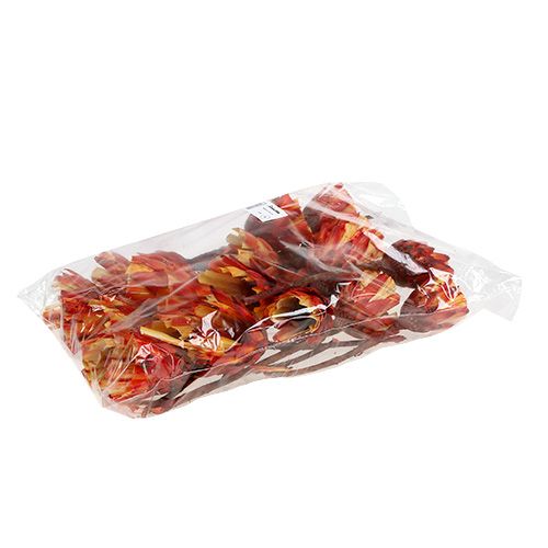 položky Repens Cup Red 25 ks