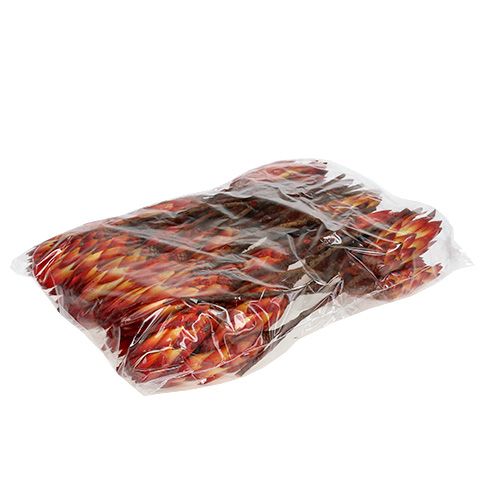 položky Repens Red malý 50 ks