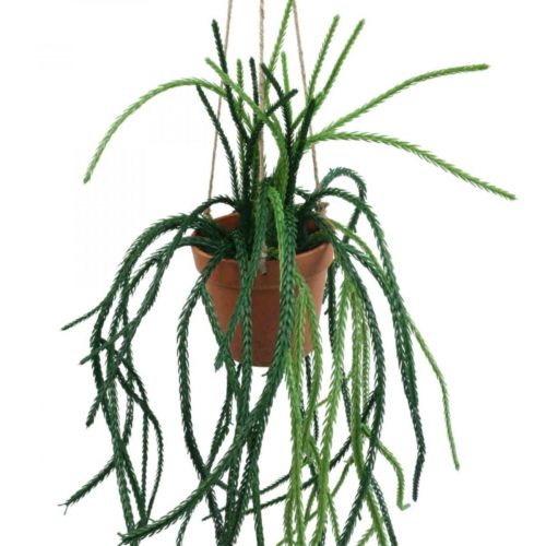 Floristik24 Rhipsalis umělý korálový kaktusový závěsný koš H87cm