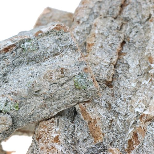 Floristik24 Kůra na výrobu Bílá praná 13cm 1kg