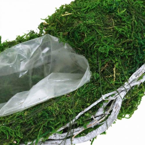 Floristik24 Mechový věnec rostlinný prsten s vinnou révou a mechově zeleným, bílý Ø35cm