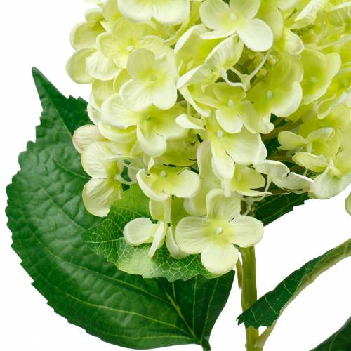 položky Umělá latová hortenzie, hortenzie zelená, kvalitní hedvábný květ 98cm