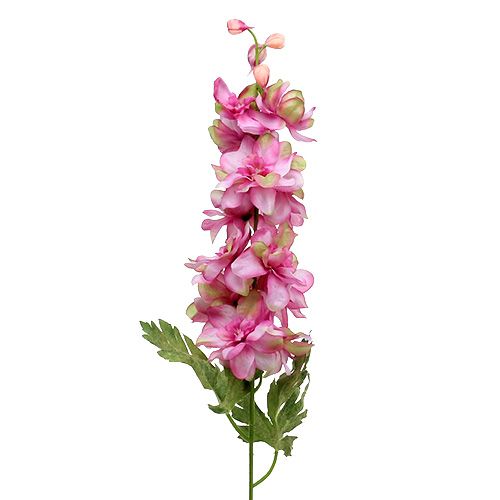 Floristik24 Larkspur Pink 60cm