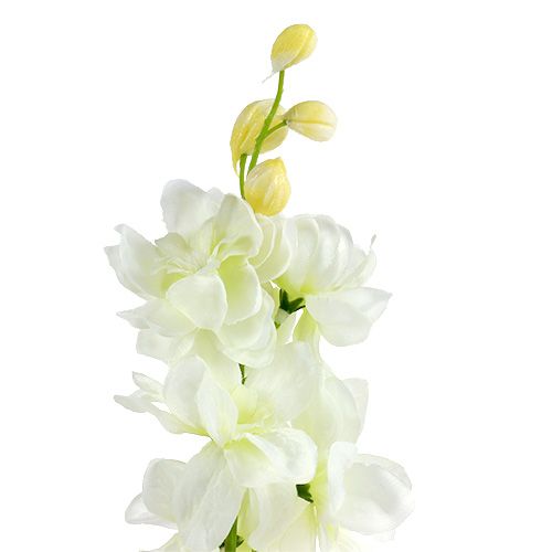 Floristik24 Larkspur bílý L60cm