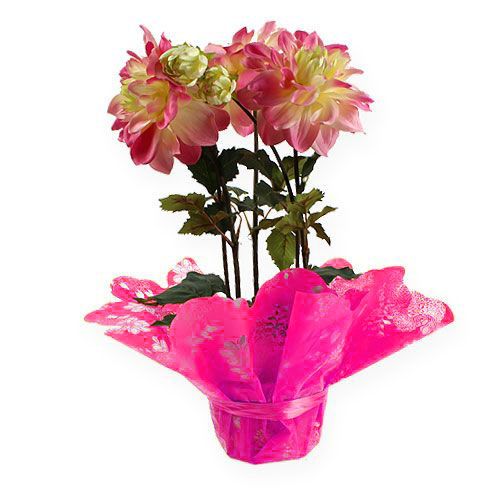 Floristik24 Manžety Rondella Ø58cm růžové 50ks