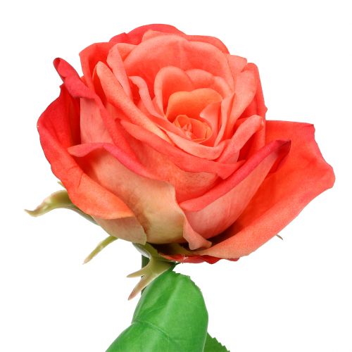 Floristik24 Růže umělý květ losos 67,5 cm